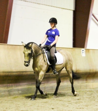 Banetrening i dressur